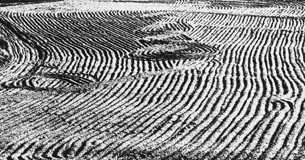 Mario Giacomelli : Presa di coscienza sulla natura  - Asta Fotografia: Under 1K - Associazione Nazionale - Case d'Asta italiane