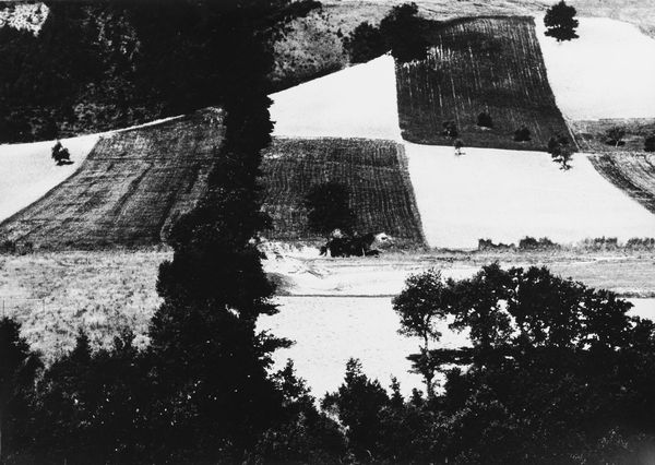 Mario Giacomelli : Presa di coscienza sulla natura  - Asta Fotografia: Under 1K - Associazione Nazionale - Case d'Asta italiane