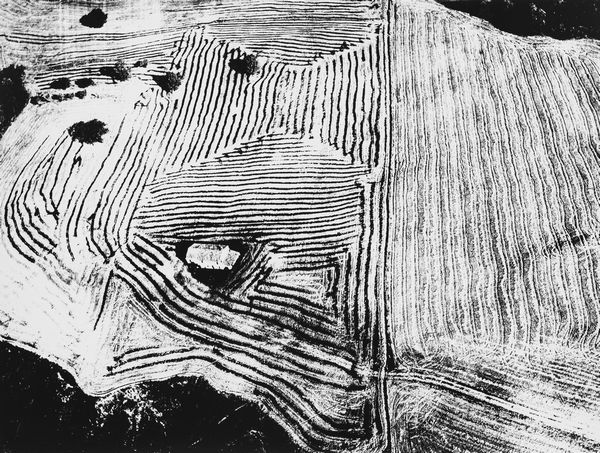 Mario Giacomelli : Storie di terra dal 1970 ad oggi  - Asta Fotografia: Under 1K - Associazione Nazionale - Case d'Asta italiane