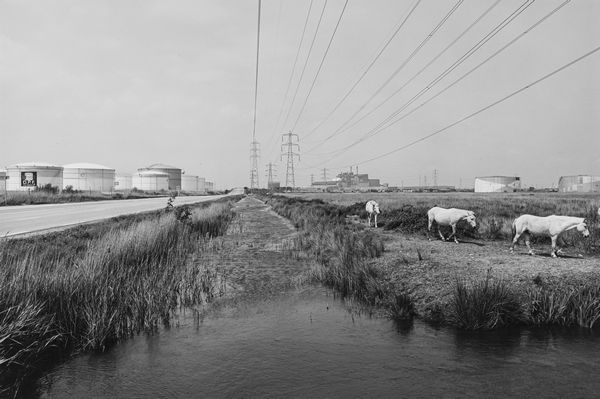 John Davies : Three Horses, Fos-sur-mer  - Asta Fotografia: Under 1K - Associazione Nazionale - Case d'Asta italiane