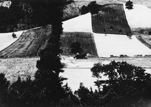 Mario Giacomelli - Presa di coscienza sulla natura