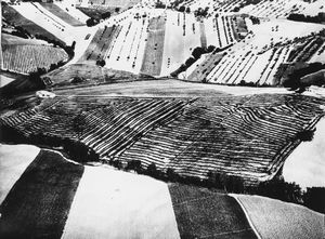 Mario Giacomelli - Presa di coscienza sulla natura