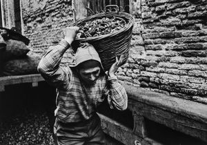 FULVIO ROITER - El Carboner, fornitore di carbone per il riscaldamento, in Rio Marin