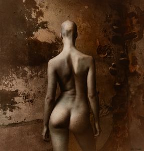 JAN SAUDEK - Female nude with a bald head seen from behind