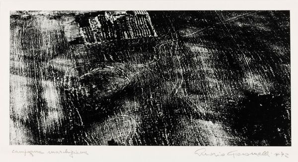 Mario Giacomelli : Campagna marchigiana, dalla serie Presa di coscienza sulla natura  - Asta Fotografia - Associazione Nazionale - Case d'Asta italiane