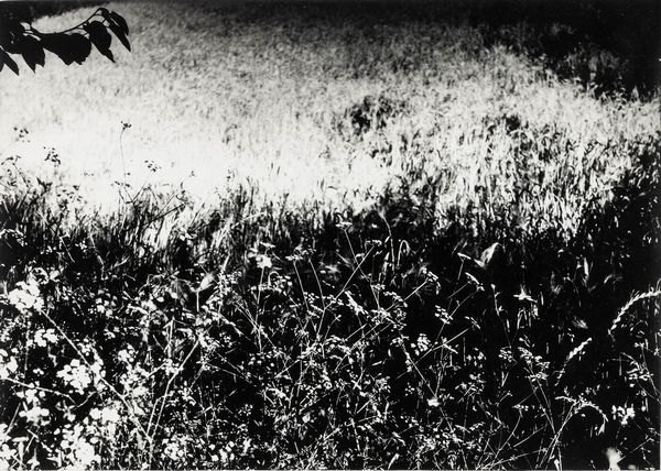 Mario Giacomelli : Senza titolo  - Asta Fotografia - Associazione Nazionale - Case d'Asta italiane