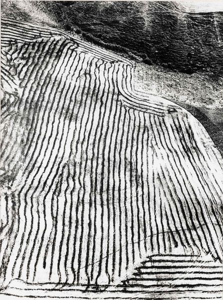 Mario Giacomelli : Presa di coscienza sulla natura  - Asta Fotografia - Associazione Nazionale - Case d'Asta italiane