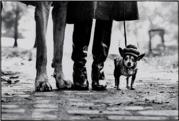 Elliott Erwitt : New York, New York, USA  - Asta Fotografia - Associazione Nazionale - Case d'Asta italiane