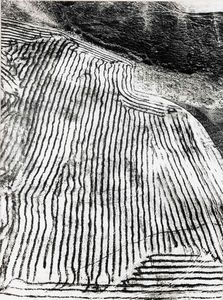 Mario Giacomelli : Presa di coscienza sulla natura  - Asta Fotografia - Associazione Nazionale - Case d'Asta italiane