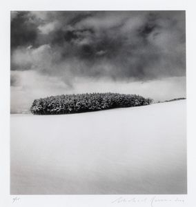 MICHAEL KENNA : White Copse, Study 2<BR>Wakkanai, Hokkaido, Japan  - Asta Fotografia - Associazione Nazionale - Case d'Asta italiane