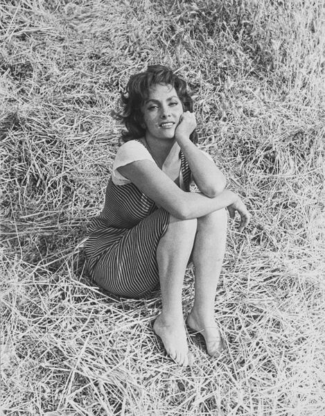 Paolo Di Paolo : Gina Lollobrigida in La Legge diretto da Jules Dassin  - Asta Fotografia - Associazione Nazionale - Case d'Asta italiane