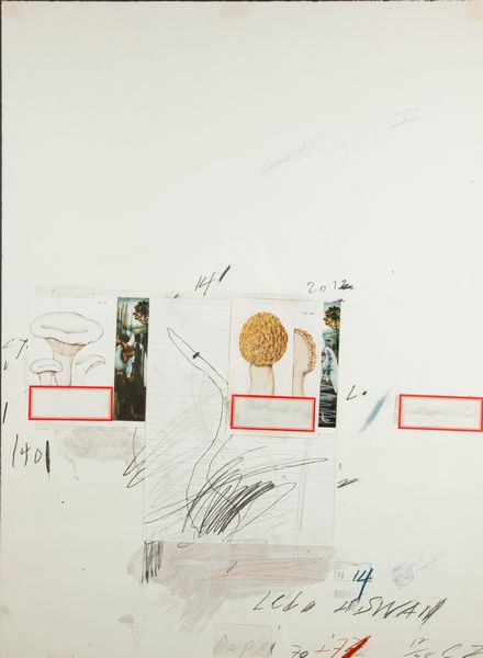 Cy Twombly : Natural History, Part I, Mushrooms  - Asta Grafica Internazionale e Multipli d'Autore - Associazione Nazionale - Case d'Asta italiane