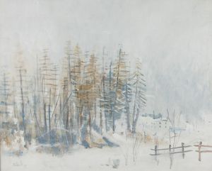 ADRIANO SPILIMBERGO - Nevicata