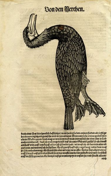 CONRAD GESSNER : Otto tavole ornitologiche da Conradi Gesneri medici Tigurini historiae animalium ...  - Asta  Arte Antica, Moderna e Contemporanea [Parte I] - Associazione Nazionale - Case d'Asta italiane