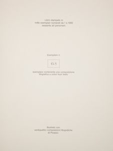 Bruno Rosa - Picasso Periodo Blu e Rosa. Opera monografica di Picasso. 24 composizioni litografiche a colori del Periodo Blu e Rosa (1901-1906)  - Asta Asta A Tempo - Libri d'arte, D'artista e Manifesti - Associazione Nazionale - Case d'Asta italiane