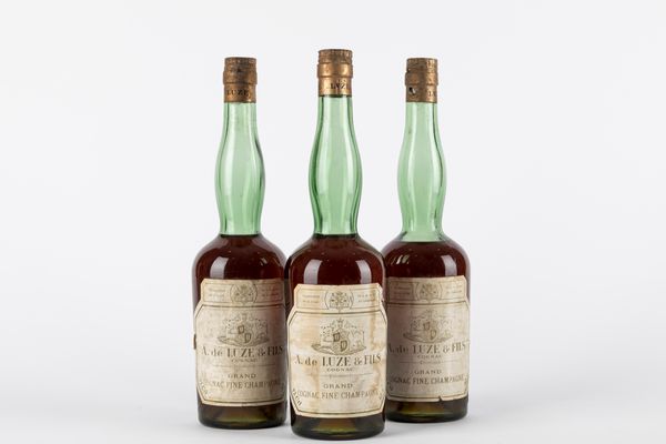 FRANCIA : A de Luze & Fils Grand Cognac Fine Champagne (3 BT)  - Asta Vini / Asta a tempo - Associazione Nazionale - Case d'Asta italiane