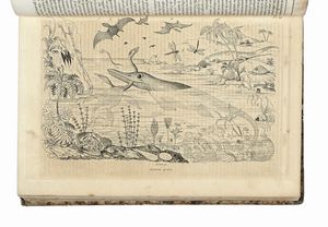 FLIX-EDOUARD GUERIN-MNEVILLE : Dictionnaire pittoresque d'histoire naturelle et des phnomnes de la nature, contenant l'histoire des animaux, des vgtaux [...]. Tome premier (-neuvime).  - Asta Libri, autografi e manoscritti - Associazione Nazionale - Case d'Asta italiane