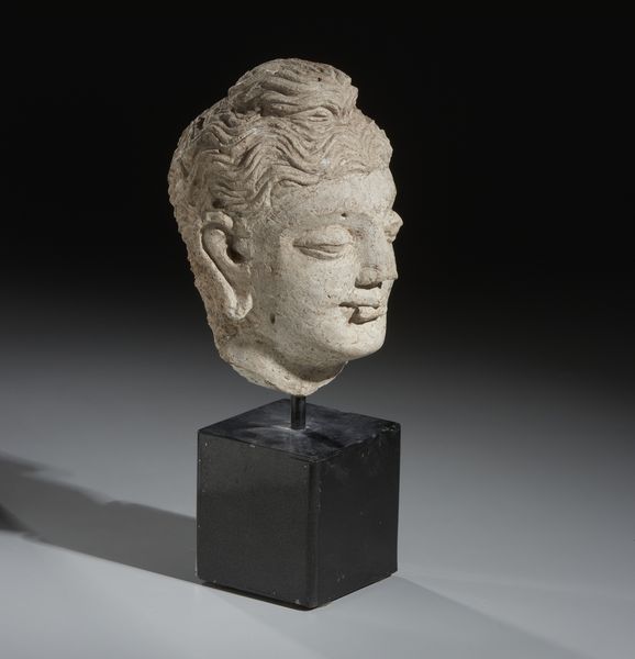 Arte Indiana : Testa di Buddha in stucco. Gandhara, probabile III-IV sec. d.C.  - Asta Asta 437 | ARTE ORIENTALE - ARTE ORIENTALE DA COLLEZIONI PRIVATE ITALIANE Online - Associazione Nazionale - Case d'Asta italiane