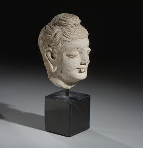 Arte Indiana : Testa di Buddha in stucco. Gandhara, probabile III-IV sec. d.C.  - Asta Asta 437 | ARTE ORIENTALE - ARTE ORIENTALE DA COLLEZIONI PRIVATE ITALIANE Online - Associazione Nazionale - Case d'Asta italiane