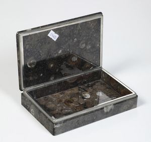 Scatola con ammoniti fossili su pietra dura  - Asta Antiquariato - Associazione Nazionale - Case d'Asta italiane
