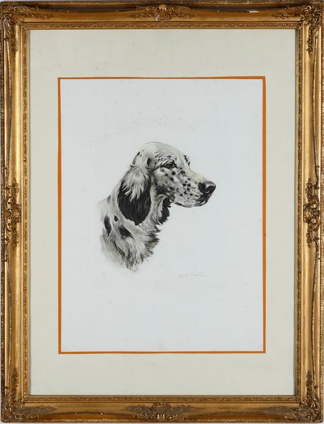 Coppia di dipinti raffiguranti teste di cani razza setter, firmati  - Asta Pittura del XIX-XX secolo - Associazione Nazionale - Case d'Asta italiane