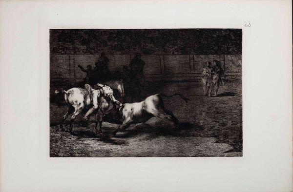 Francisco Goya : Francisco Goya (Fuendetodos 1746 - Bordeaux 1828) Mariano Ceballos, alias El Indo, mata el toro desde du caballo  - Asta Libri antichi e rari, Stampe, Vedute e Mappe - Associazione Nazionale - Case d'Asta italiane