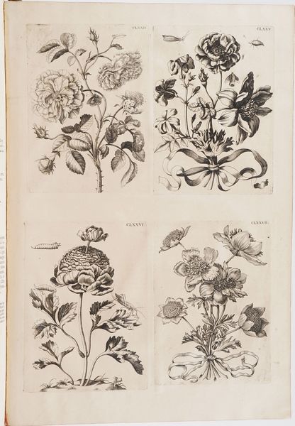 Merian Marie Sybilla Histoire des insectes de l'Europe... traduite du hollandois en francois par Jean Mariette... Ouvrage qui contient XCIII planches... a Amsterdam, chez Jean Frederic Bernard, 1730  - Asta Libri antichi e rari, Stampe, Vedute e Mappe - Associazione Nazionale - Case d'Asta italiane