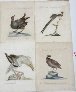 Xaverio Manetti Saverio Manetti, Lorenzo Lorenzi e Violante Vanni. Storia naturale degli uccelli. Stamperia Mouckiana, Firenze. 1767-1776  - Asta Libri antichi e rari, Stampe, Vedute e Mappe - Associazione Nazionale - Case d'Asta italiane