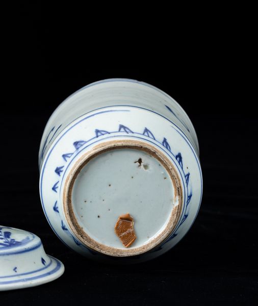 Vaso cilindrico con coperchio in porcellana bianca e blu con decoro naturalistico, Cina, Dinastia Qing, XIX secolo  - Asta Arte orientale  - Associazione Nazionale - Case d'Asta italiane