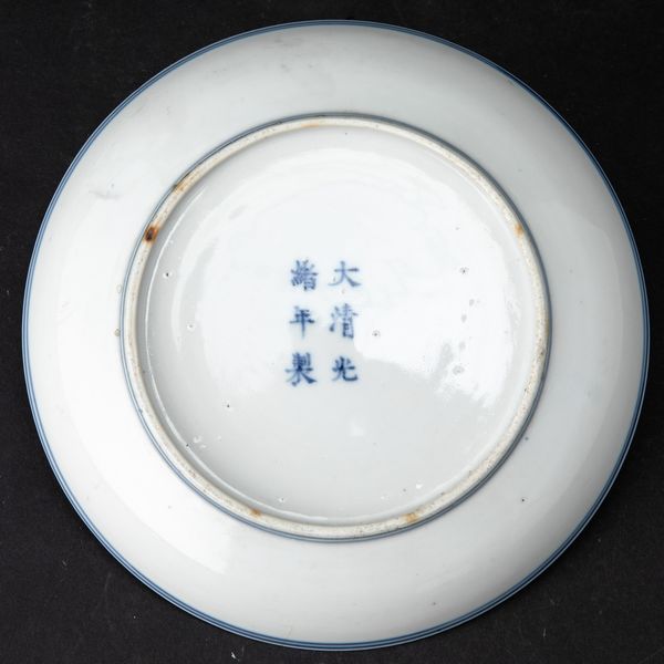 Piatto in porcellana bianca e blu con decori naturalistici, Cina, Dinastia Qing, marca e del periodo Guangxu (1875-1908)  - Asta Arte orientale  - Associazione Nazionale - Case d'Asta italiane