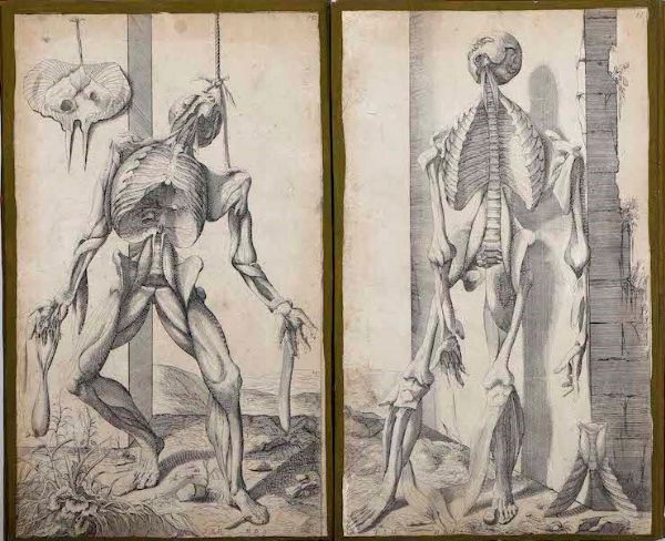 Incisioni-anatomia. Dodici incisioni tratte dalle Notomie di Tiziano.  - Asta Stampe, Vedute e Carte Geografiche - Associazione Nazionale - Case d'Asta italiane