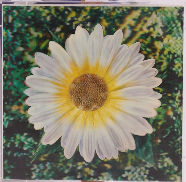 Andy Warhol : Lenticular Daisy  - Asta Asta di Arte Moderna e Contemporanea - Associazione Nazionale - Case d'Asta italiane