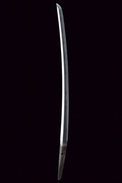 Wakizashi in shirasaya  - Asta Rare Armi Antiche e Armature da Tutto il Mondo - Associazione Nazionale - Case d'Asta italiane