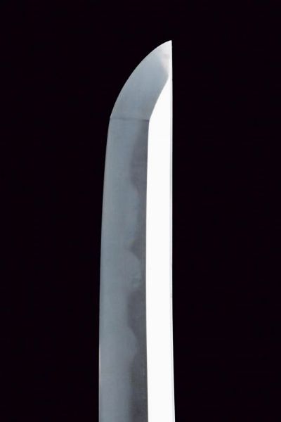 Wakizashi in shirasaya  - Asta Rare Armi Antiche e Armature da Tutto il Mondo - Associazione Nazionale - Case d'Asta italiane