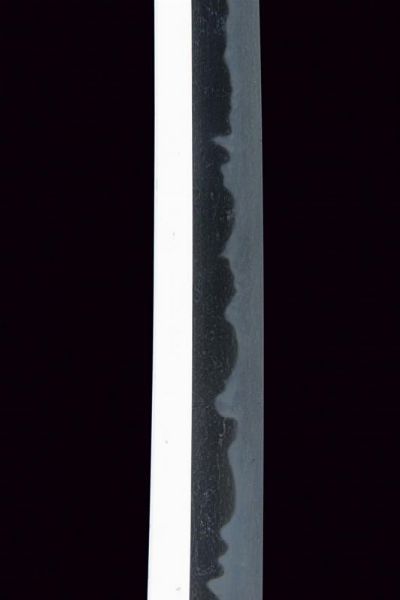 Katana in shirasaya  - Asta Rare Armi Antiche e Armature da Tutto il Mondo - Associazione Nazionale - Case d'Asta italiane