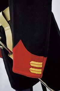 Uniforme da Guardia Palatina con baionetta  - Asta Rare Armi Antiche e Armature da Tutto il Mondo - Associazione Nazionale - Case d'Asta italiane