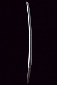 Wakizashi in shirasaya  - Asta Rare Armi Antiche e Armature da Tutto il Mondo - Associazione Nazionale - Case d'Asta italiane