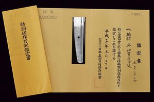 Wakizashi in shirasaya, mei: Iga no Kami Kinmichi (Shodai)  - Asta Rare Armi Antiche e Armature da Tutto il Mondo - Associazione Nazionale - Case d'Asta italiane