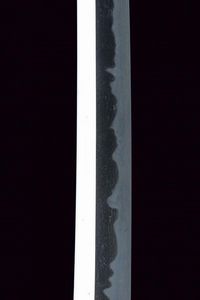 Katana in shirasaya  - Asta Rare Armi Antiche e Armature da Tutto il Mondo - Associazione Nazionale - Case d'Asta italiane