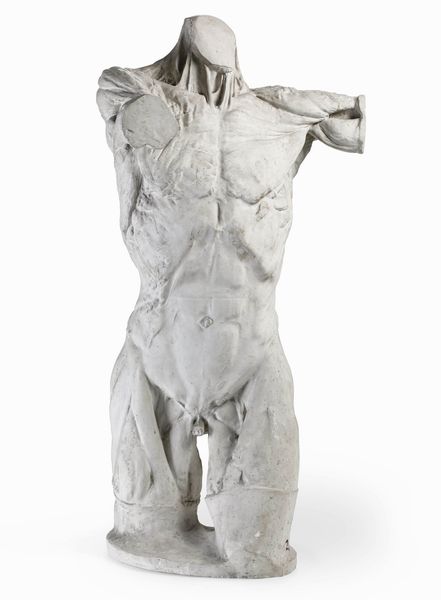 Plasticatore degli inizi del XX secolo Torso anatomico  - Asta Sculture del XIX e XX secolo - Associazione Nazionale - Case d'Asta italiane