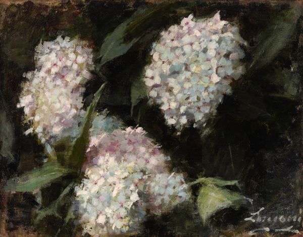 Emilio Longoni : Ortensie (1885 ca.)  - Asta Dipinti del XIX e XX secolo - Associazione Nazionale - Case d'Asta italiane