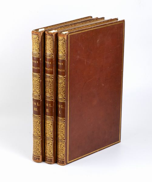 CLAUDE GELLÉE. RICHARD EARLOM LIBER VERITAS OR A COLLECTION OF TWO HUNDRED PRINTS AFTER THE ORIGINAL DESIGNS OF CLAUDE LORRAIN.  LONDON 1777-1819  - Asta Libri antichi, rarit bibliografiche e prime edizioni del '900 - Associazione Nazionale - Case d'Asta italiane