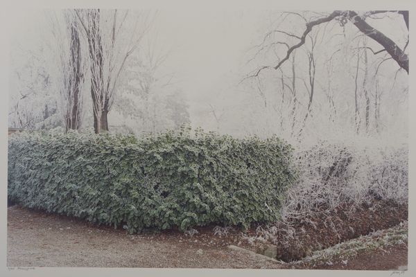 GHIRRI LUIGI (1943 - 1992) : IL PROFILO DELLE NUVOLE - FOMIGINE, 1989  - Asta Asta 446 | GRAFICA MODERNA, FOTOGRAFIA E MULTIPLI D'AUTORE Online - Associazione Nazionale - Case d'Asta italiane