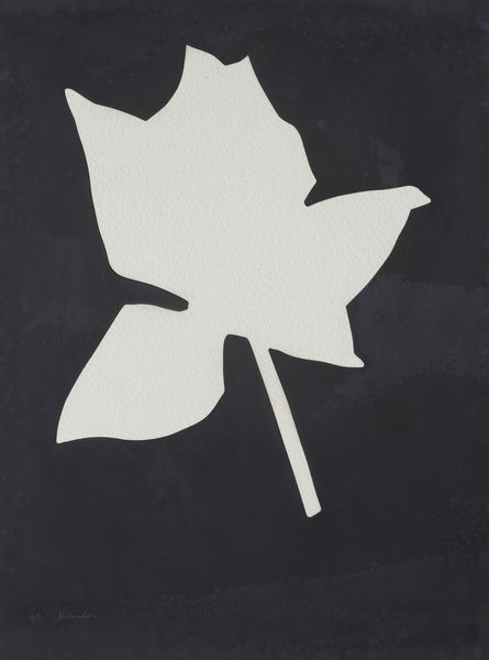 KOUNELLIS JANNIS (n. 1936) : SENZA TITOLO (FIORE BIANCO)  - Asta Asta 446 | GRAFICA MODERNA, FOTOGRAFIA E MULTIPLI D'AUTORE Online - Associazione Nazionale - Case d'Asta italiane