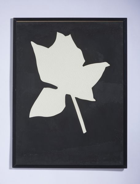 KOUNELLIS JANNIS (n. 1936) : SENZA TITOLO (FIORE BIANCO)  - Asta Asta 446 | GRAFICA MODERNA, FOTOGRAFIA E MULTIPLI D'AUTORE Online - Associazione Nazionale - Case d'Asta italiane