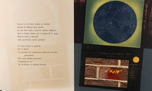 Max Ernst : Dent Prompte  - Asta Multipli e grafica internazionale - Associazione Nazionale - Case d'Asta italiane