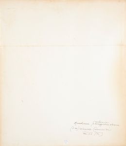 Vincenzo Camuccini, Ambito di : Studio accademico di due nudi maschili  - Asta Disegni Antichi - Associazione Nazionale - Case d'Asta italiane