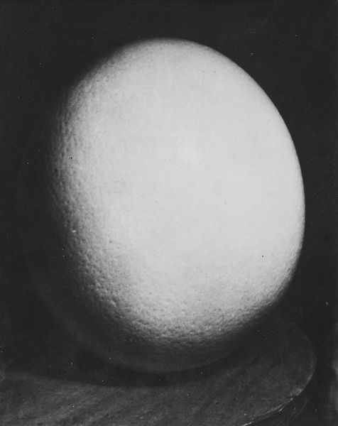 Man Ray : Ostrich Egg  - Asta Fotografia - Associazione Nazionale - Case d'Asta italiane