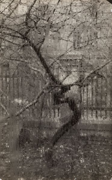 Josef Sudek : La finestra del mio laboratorio  - Asta Fotografia - Associazione Nazionale - Case d'Asta italiane