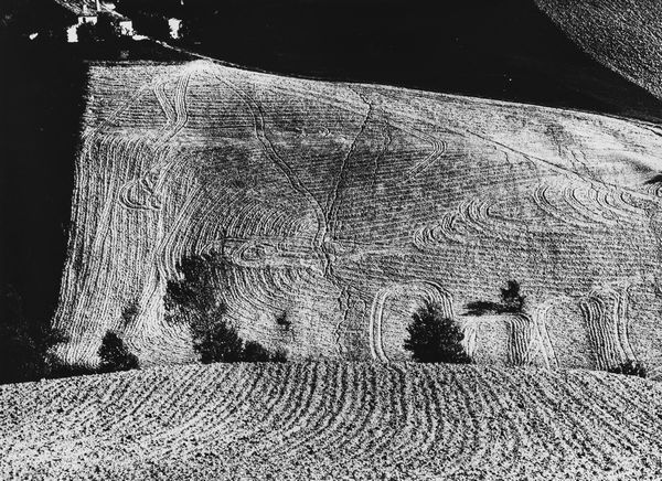 Mario Giacomelli : Presa di coscienza sulla natura  - Asta Fotografia - Associazione Nazionale - Case d'Asta italiane